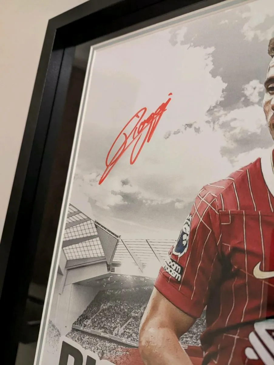 Diogo Jota signed FIFA 16 x 12 picture - Image 4