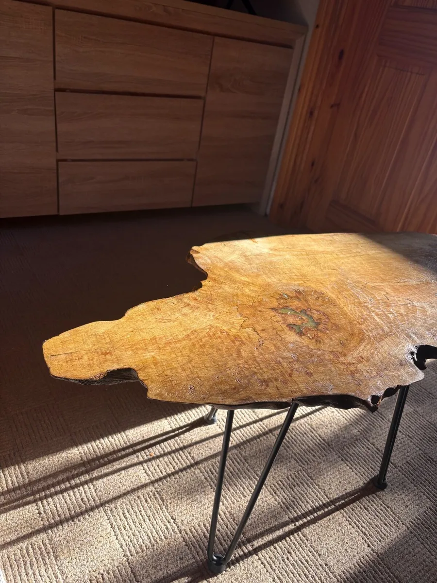 Unique Live Edge Coffee Table - Image 4