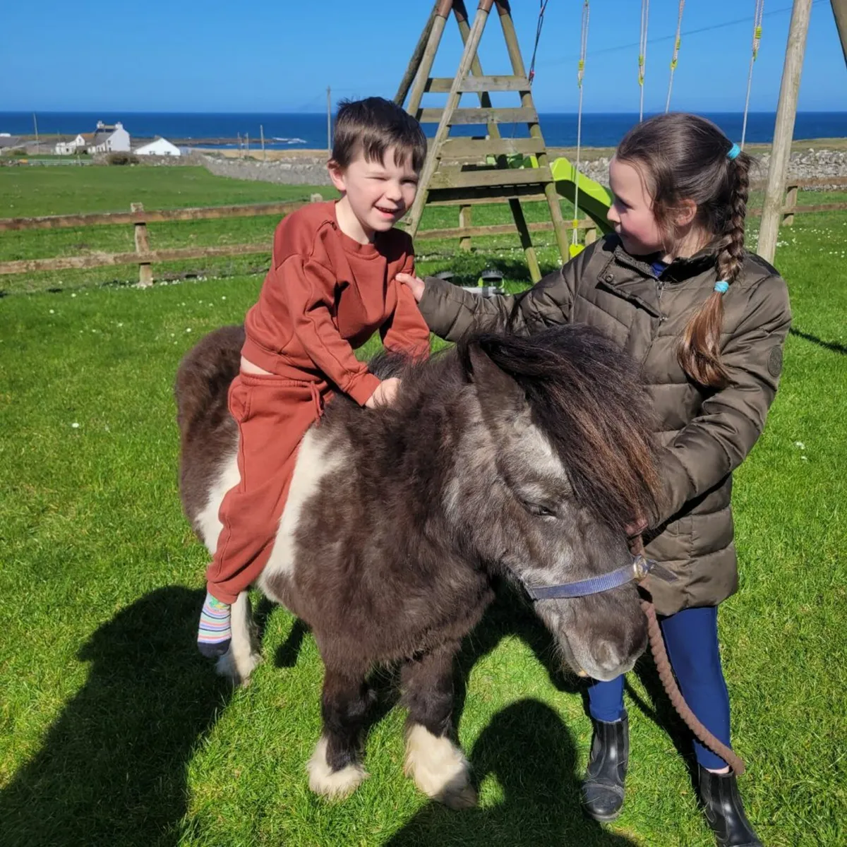 Kids pony - Image 1