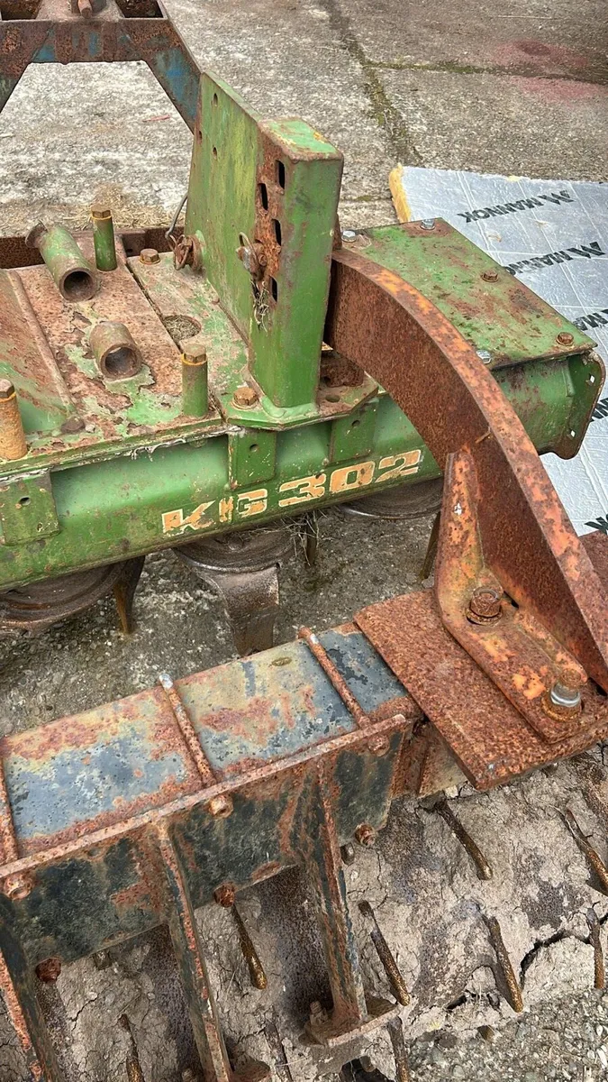 Amazone - Image 4
