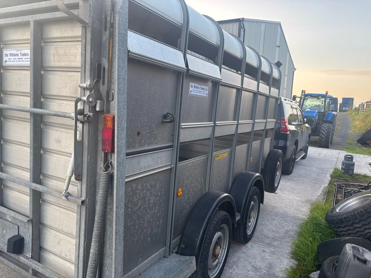 12x6 Ivor Williams livestock trailer with decks - Image 2