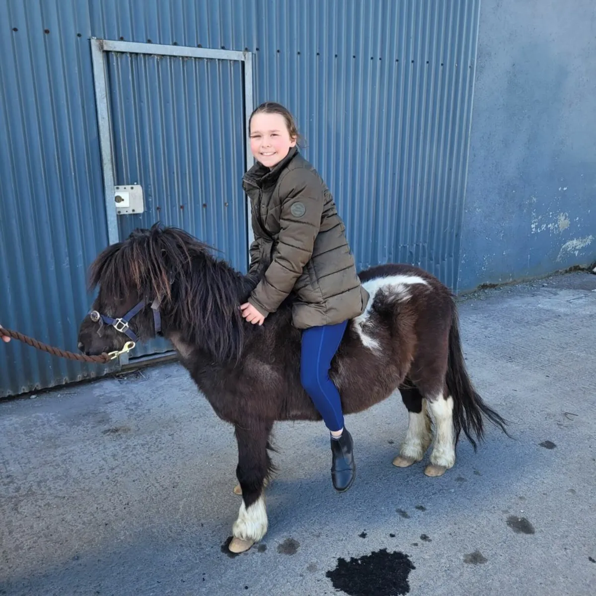 Kids pony - Image 2