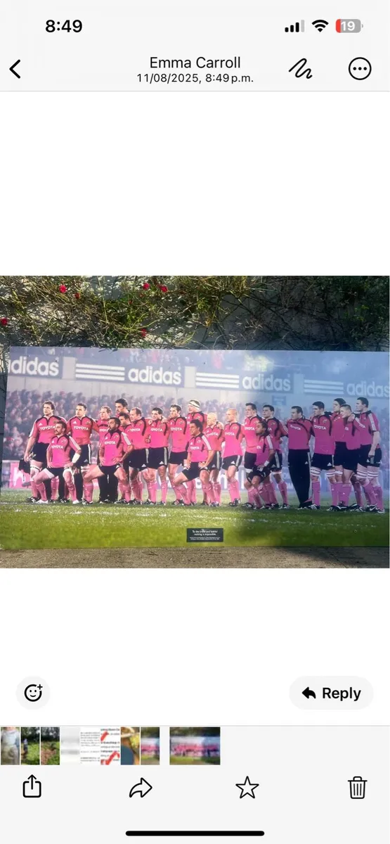 Rugby Munster picture - Image 1