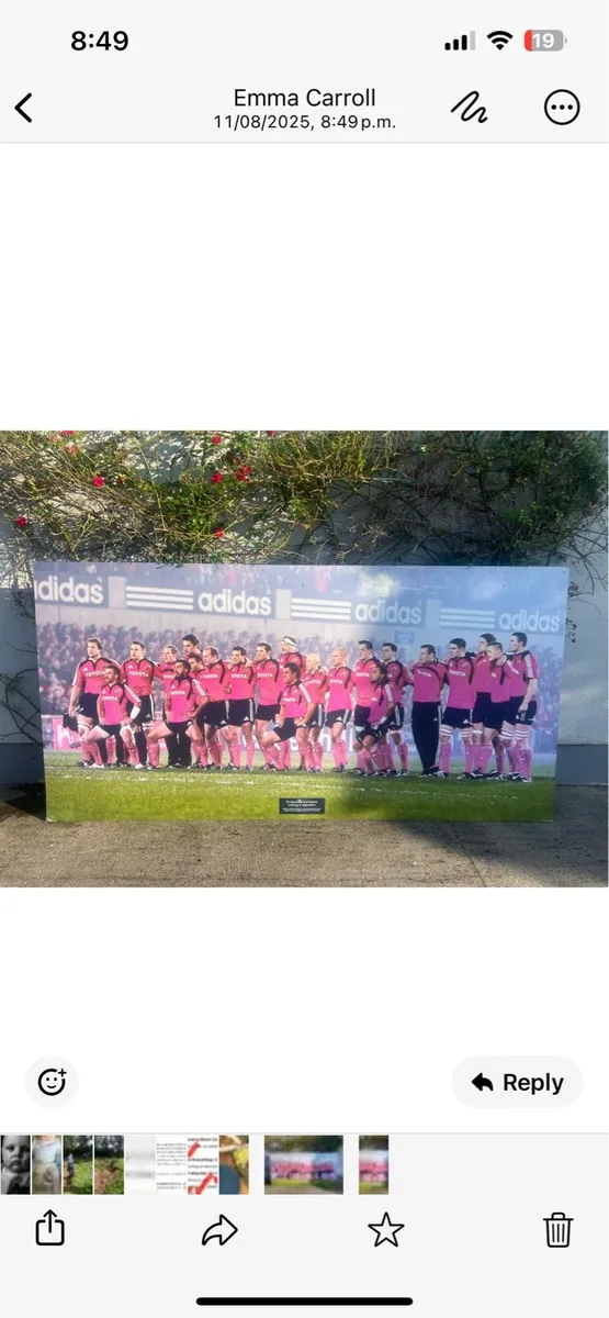 Rugby Munster picture - Image 2