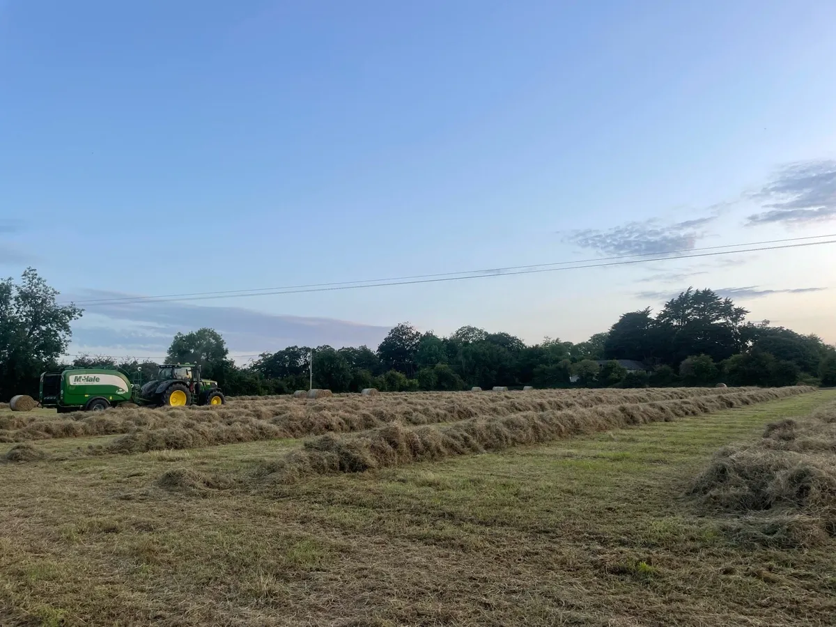 Hay - Image 1