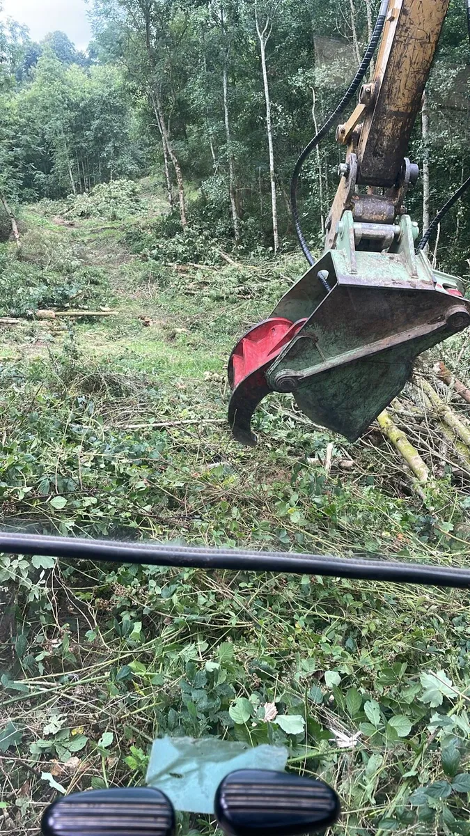 Tree shearing / site clearance - Image 2