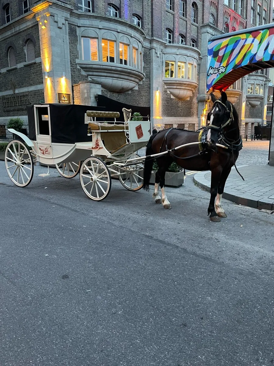 Horse drawn Carriage - Image 1