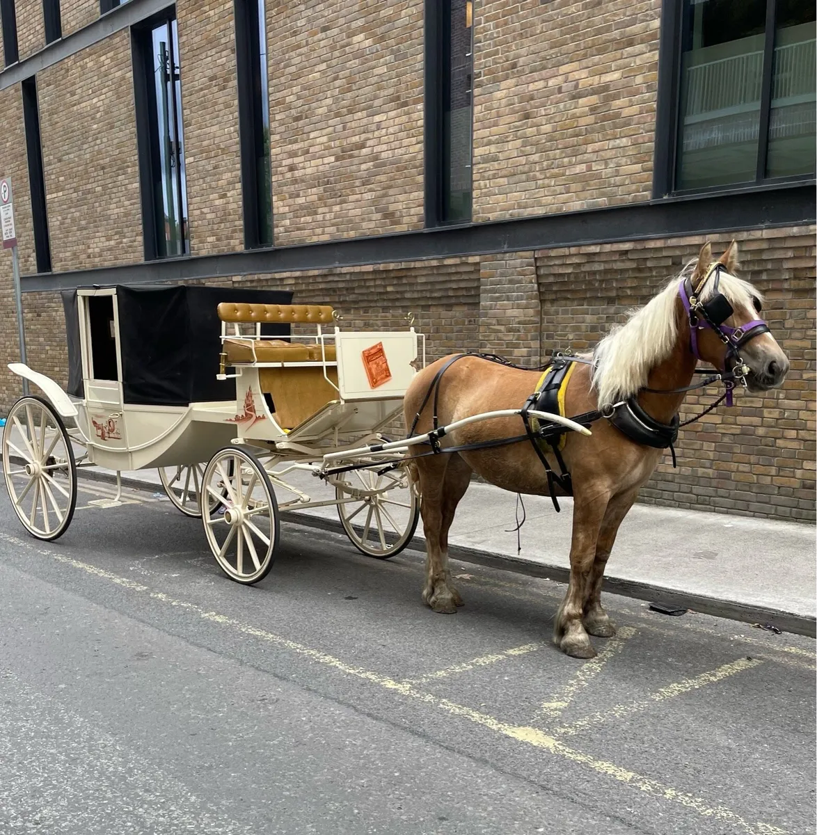 Horse drawn Carriage - Image 2