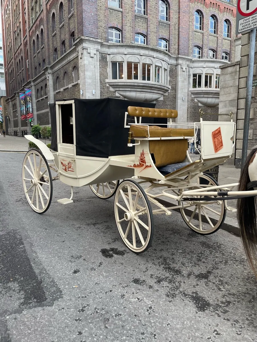 Horse drawn Carriage - Image 3