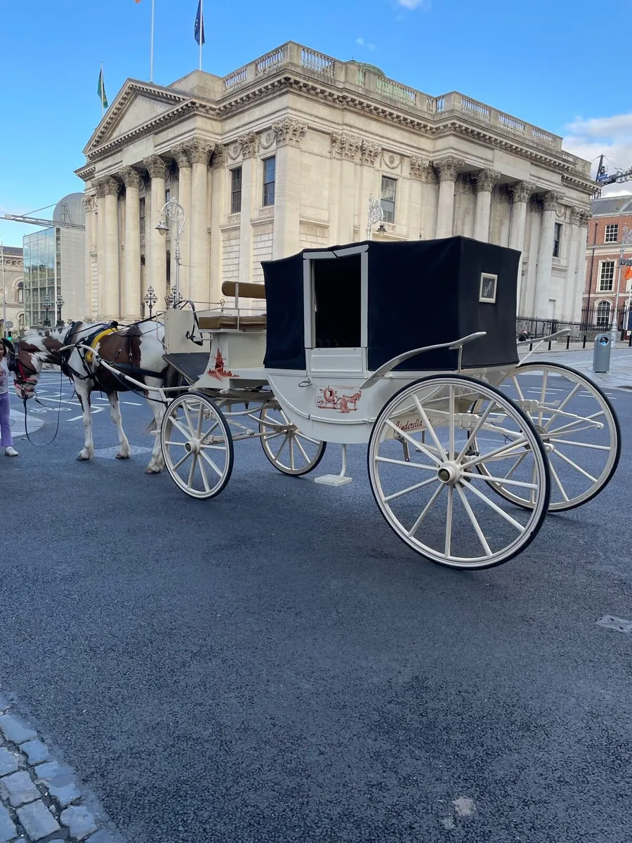 Horse drawn Carriage - Image 4
