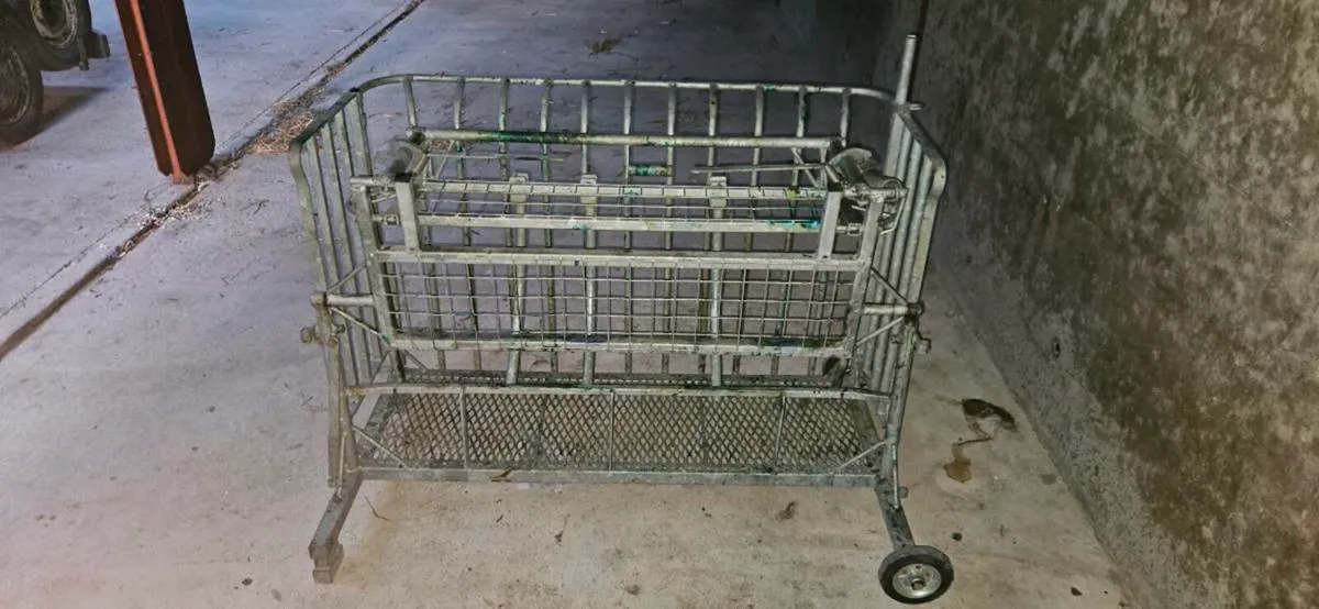 Sheep Roll Over Crate - Image 1