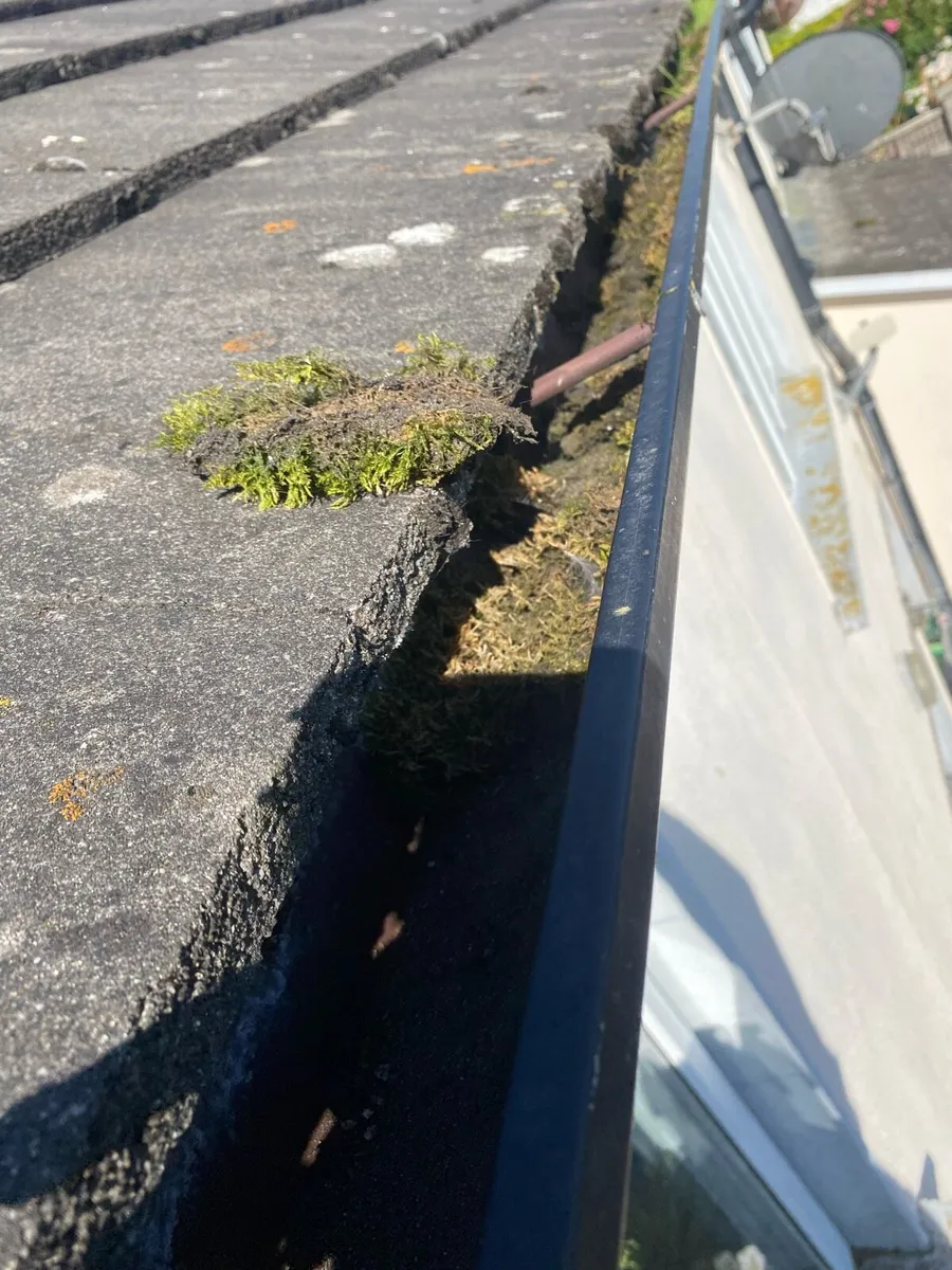 Window Cleaning Service - Image 3