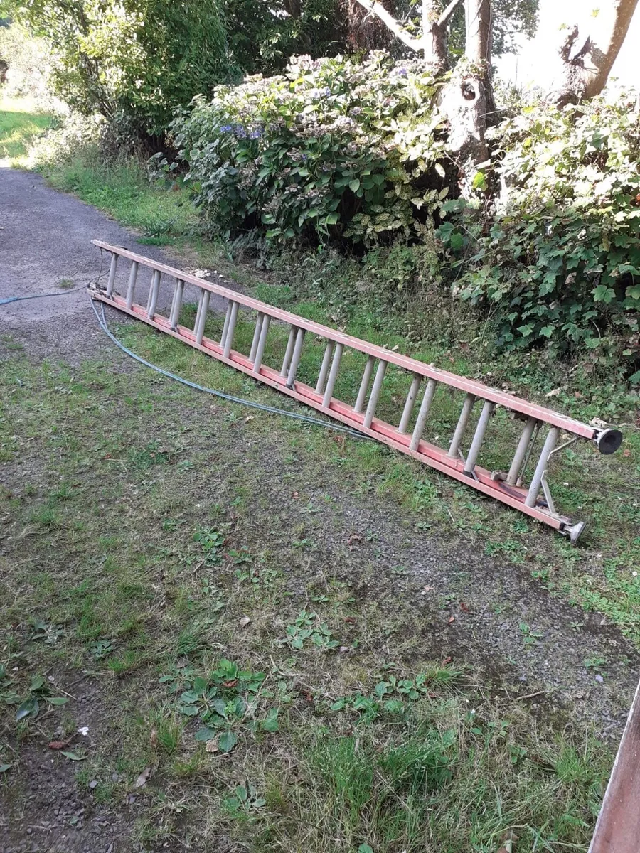 Ladder double extension