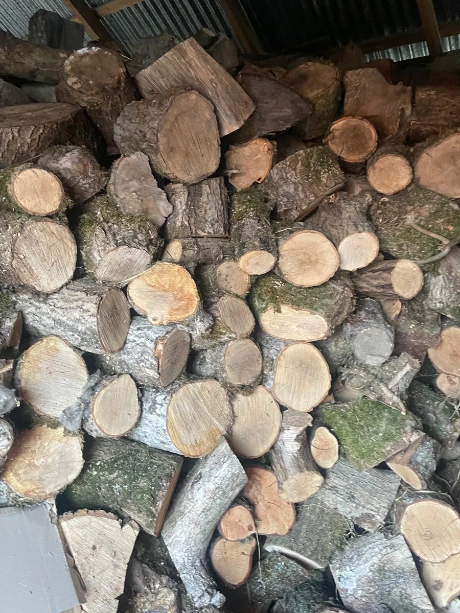 Firewood - Image 1