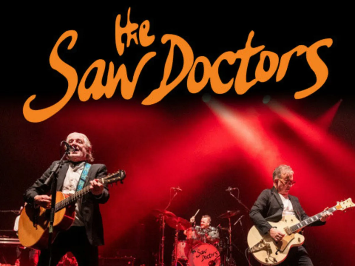 The saw doctors  limerick