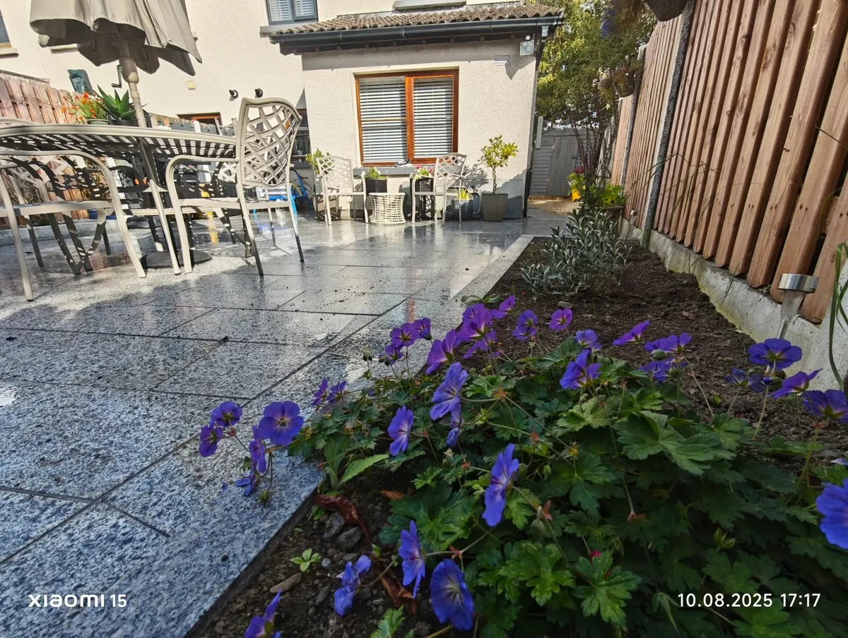 Paving & landscaping - Image 4