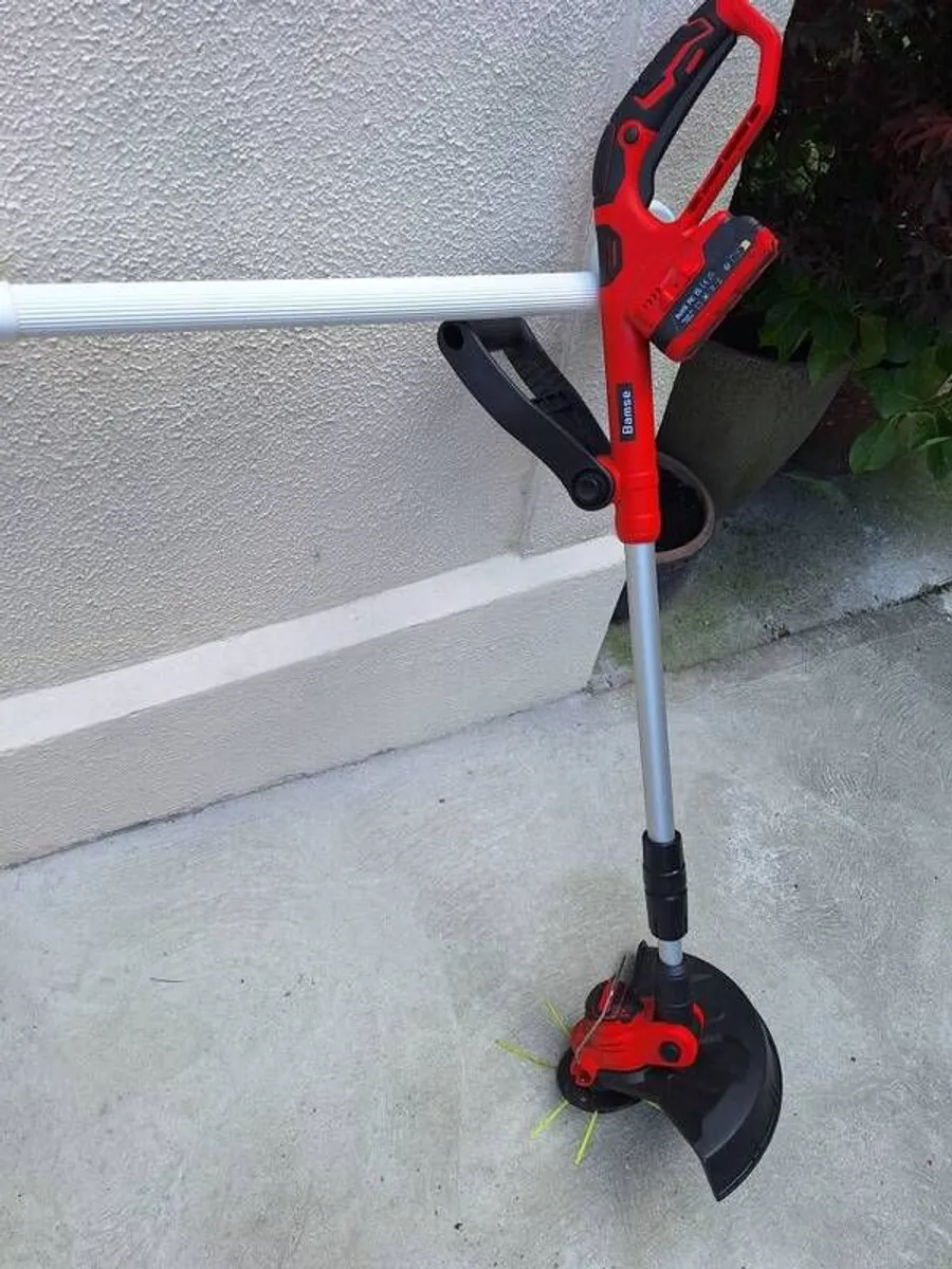 Strimmer - Image 1