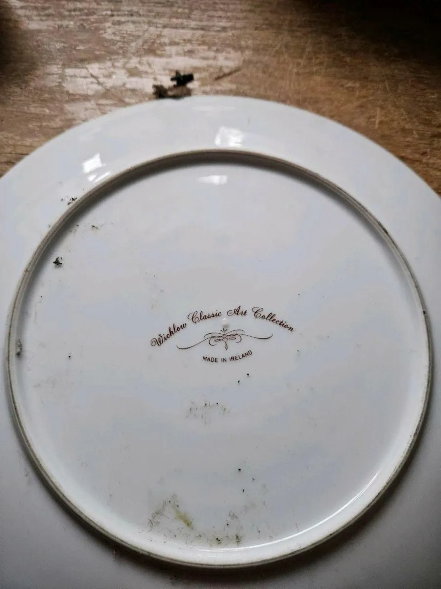Vintage Arklow Wicklow Plate - Image 3