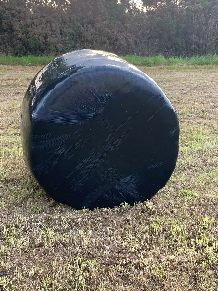 Silage bales - Image 2