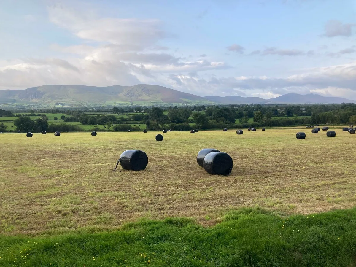 Silage bales - Image 3