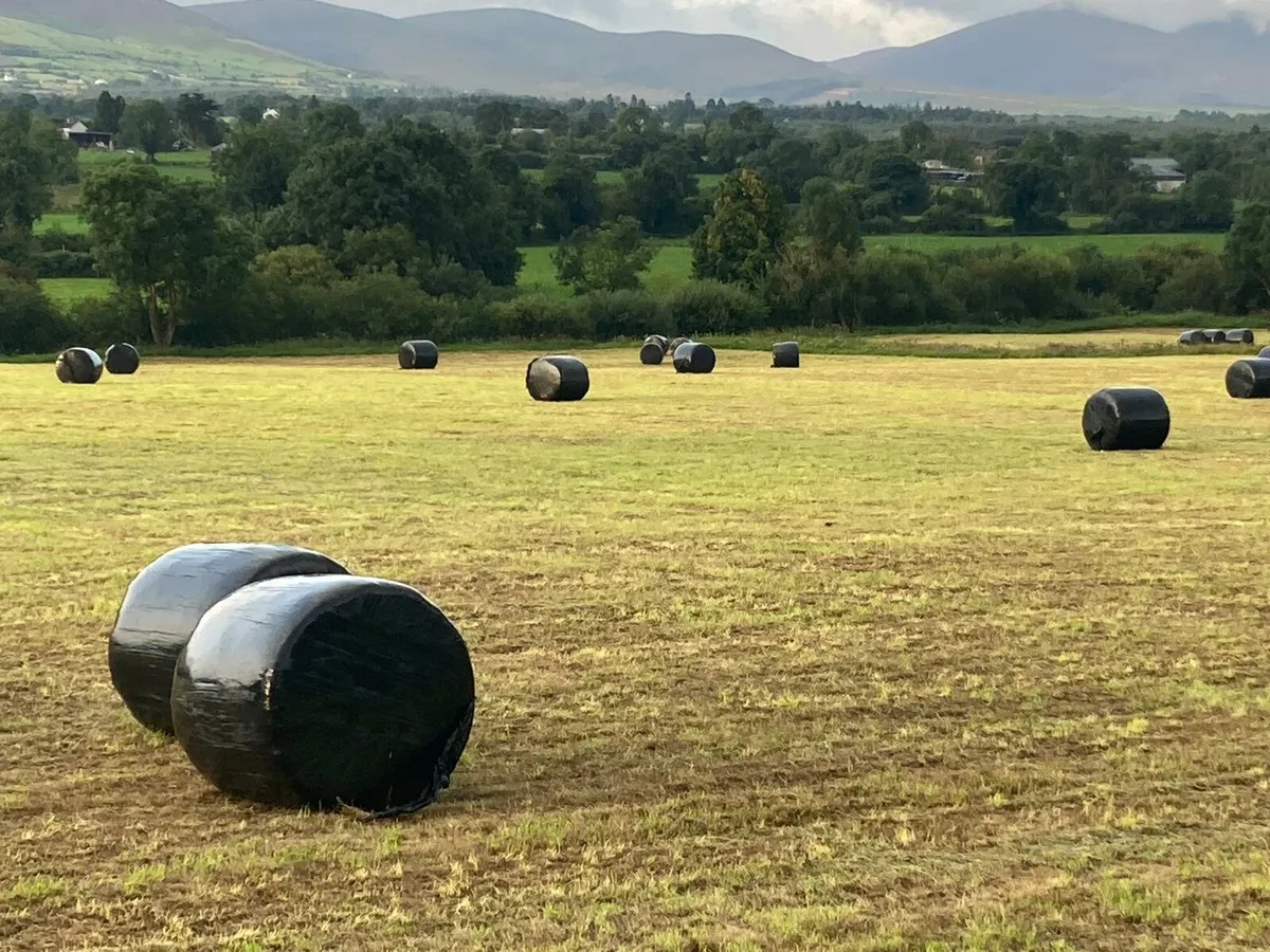 Silage bales - Image 4