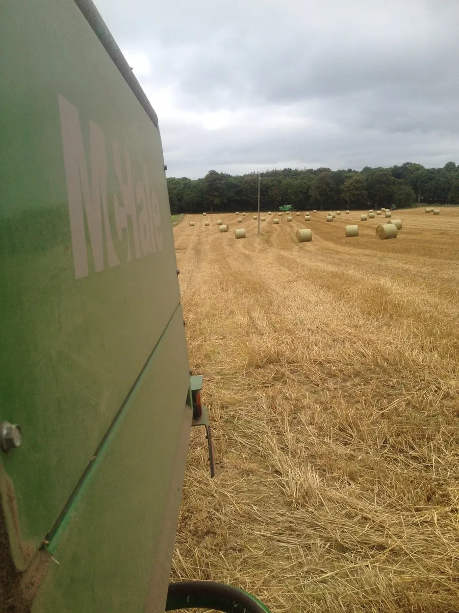Oaten straw - Image 3