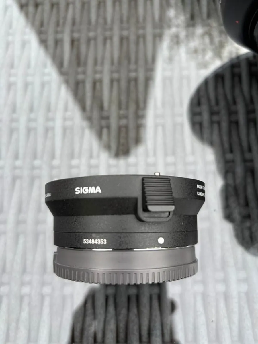 Canon TS-E 24mm 1:3.5 L MKII tilt shift lens - Image 4
