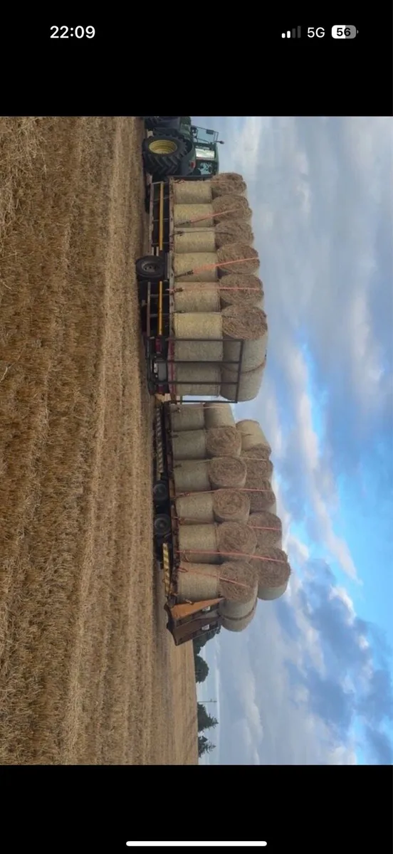 Oaten straw - Image 4