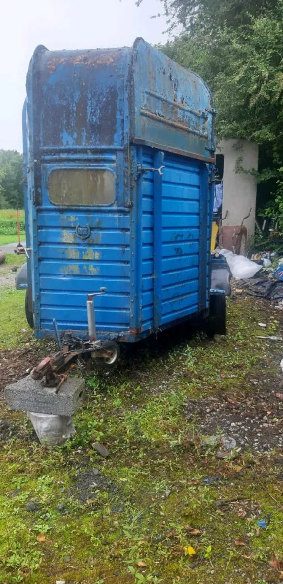 Rice Double Horsebox - Image 2