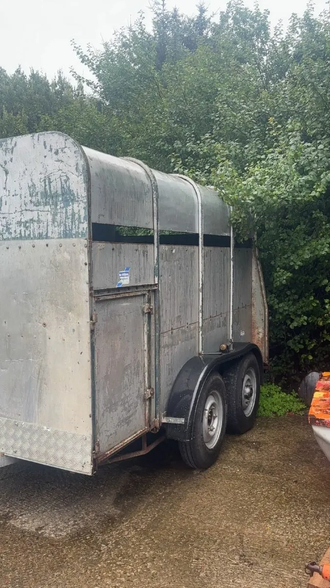 Cow box for sale - Image 1