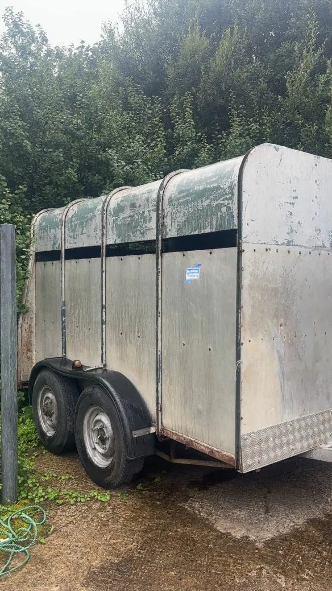 Cow box for sale - Image 3