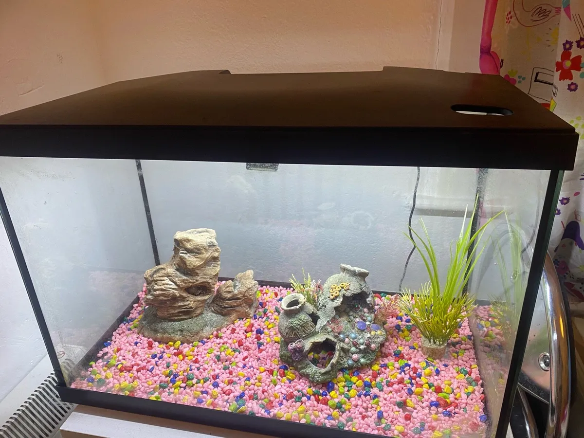 Fish Tank 75L Marina Lux,  Dundrum - Image 1