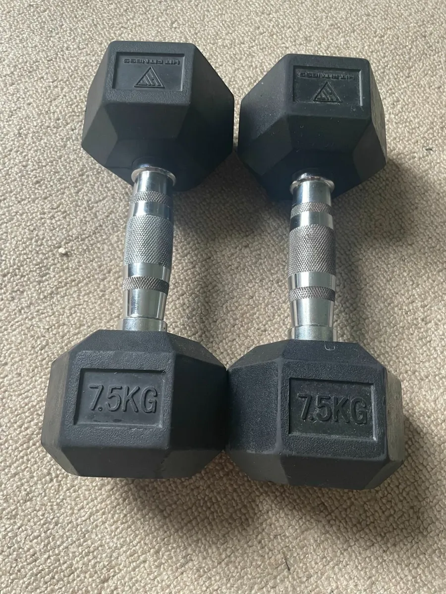 2 x Dumbbells 7.5kg each - Image 1