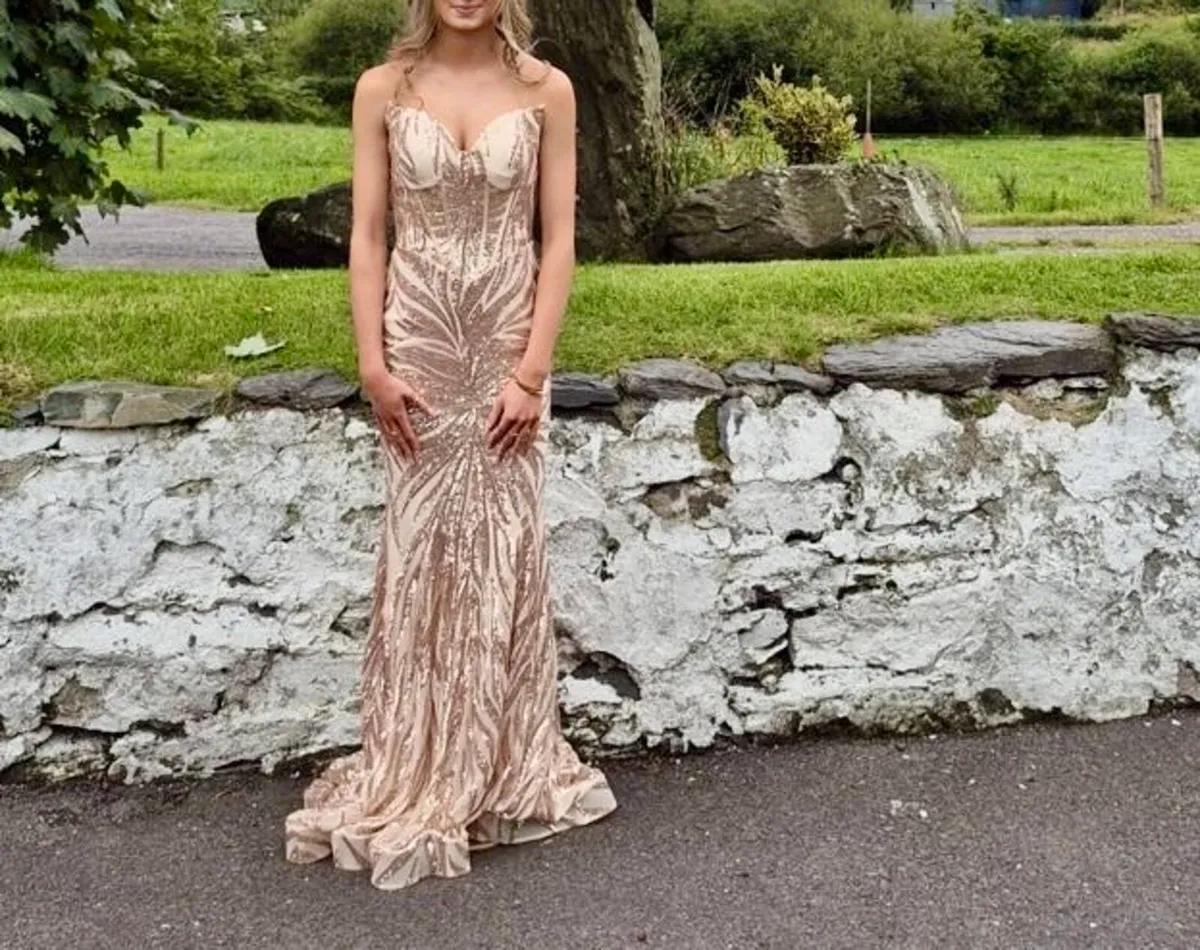 Debs Dress - Image 1