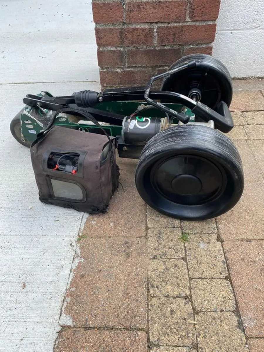 Golf Glider (newly serviced) with battery - Image 1