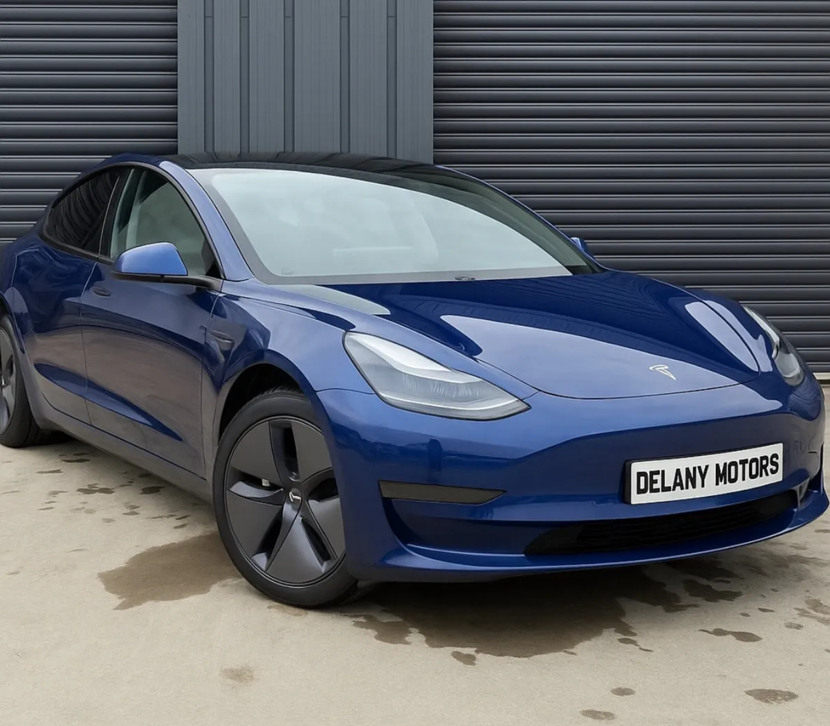 Tesla Model 3 Standard Plus - 2022