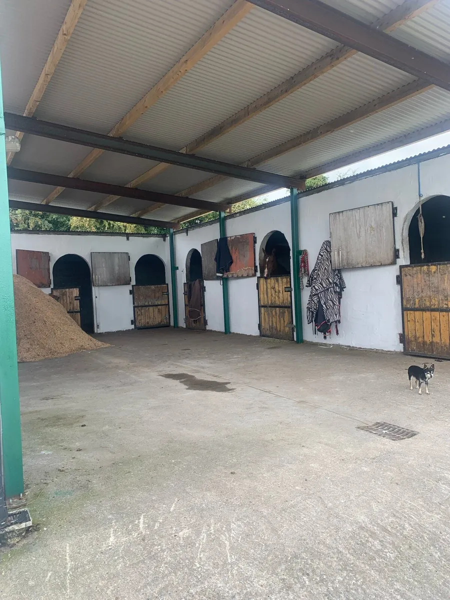 Premium care for horse and rider - Image 1