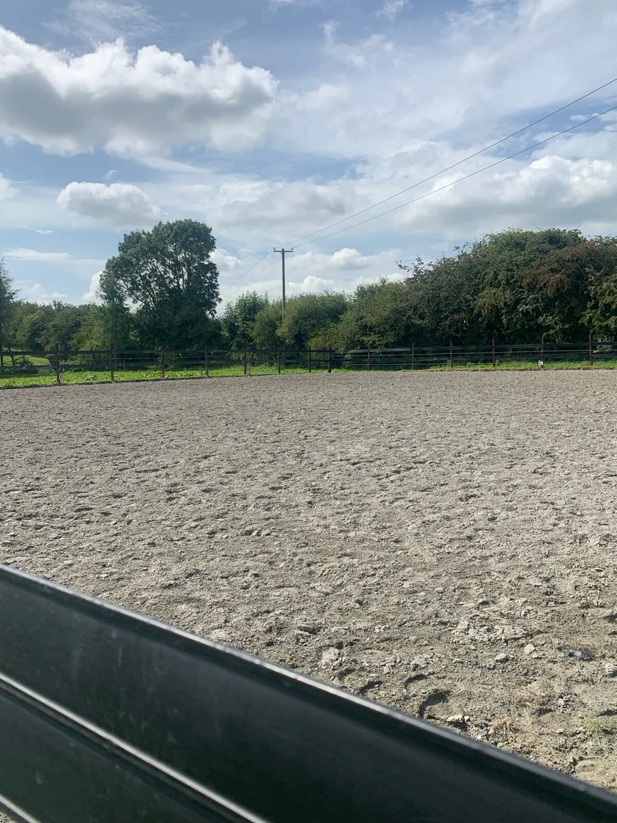 Premium care for horse and rider - Image 3