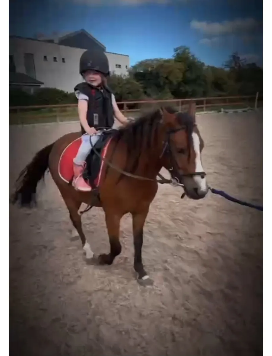 Perfect first pony - Image 1