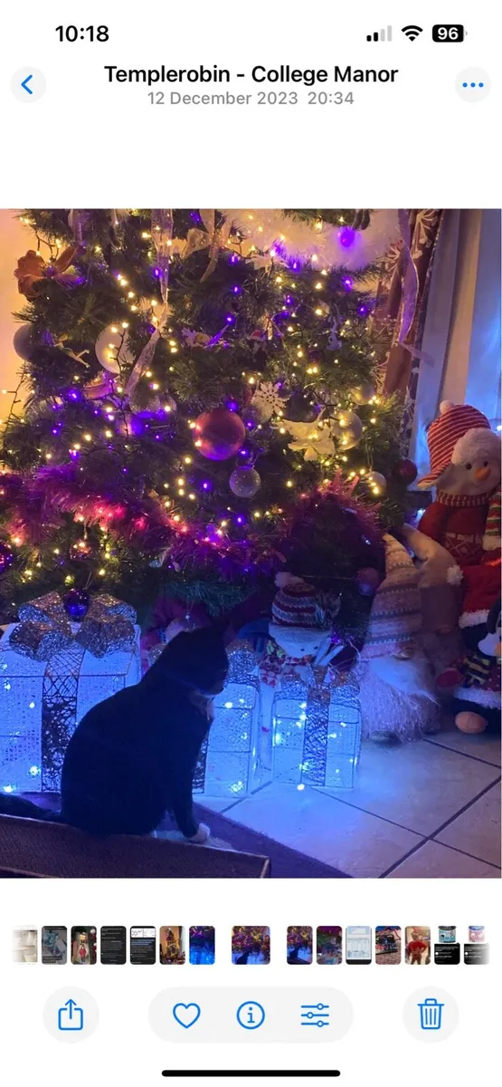 7ft Christmas tree - Image 3