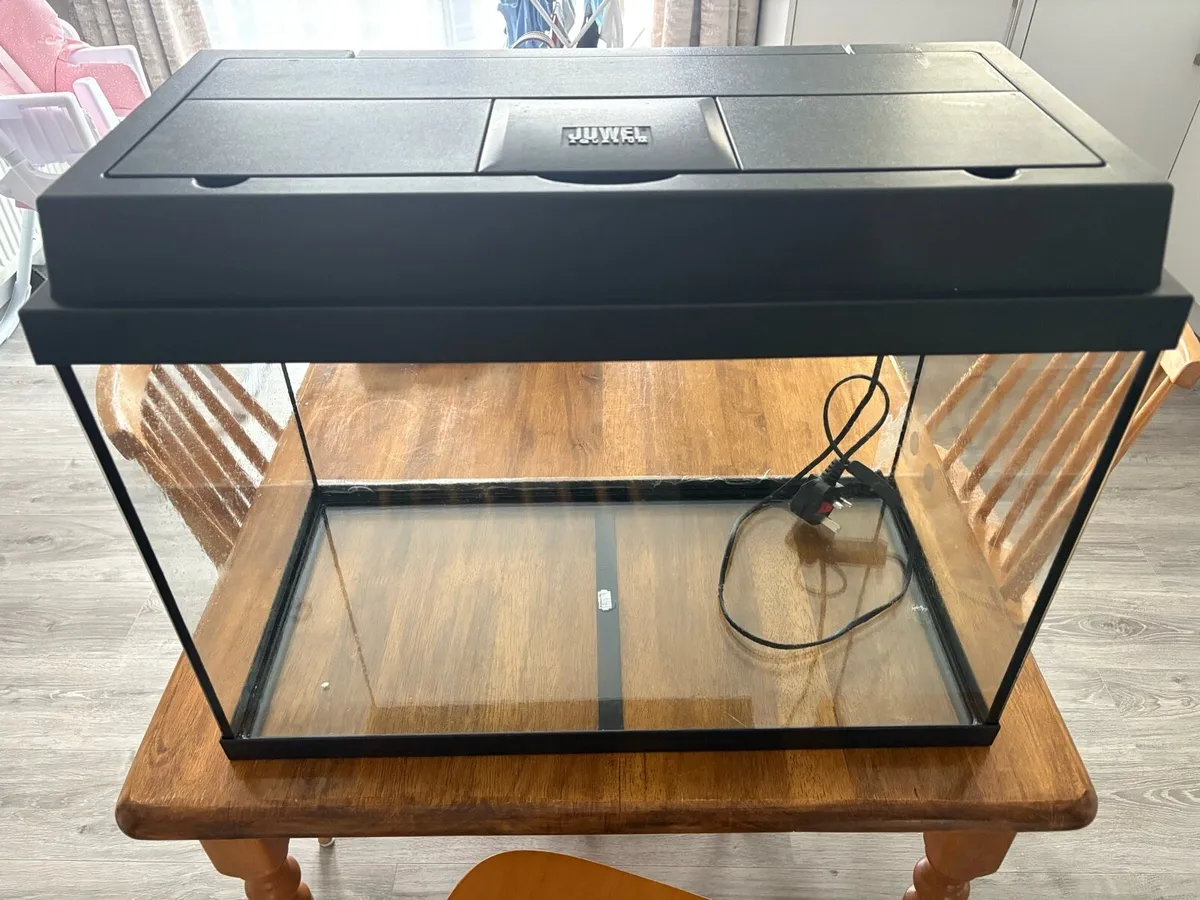 Fish tank 60L just fish tank - Image 1