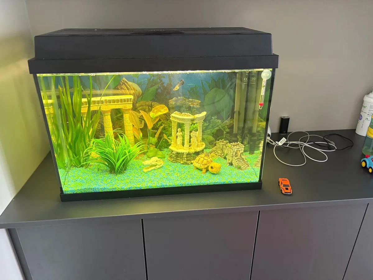 Fish tank 60L just fish tank - Image 2