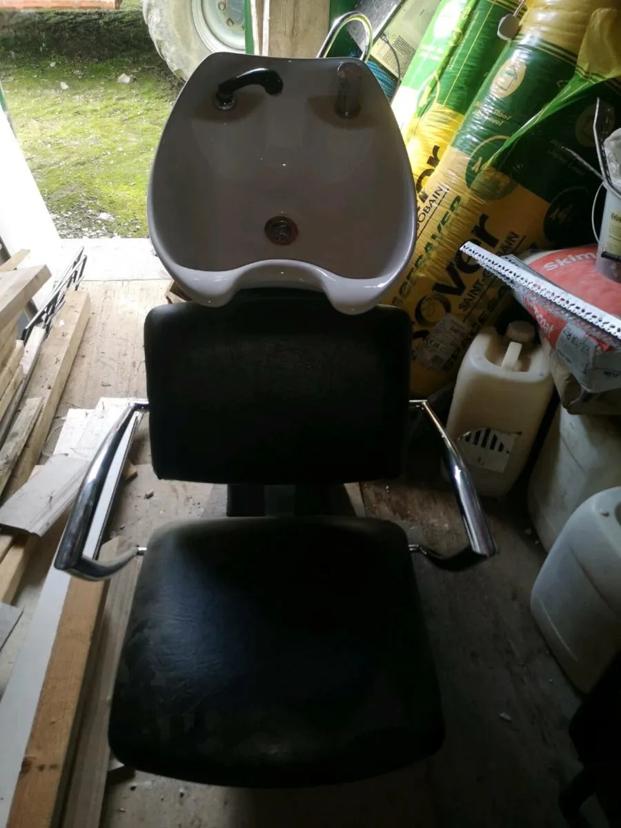 Salon chair - Image 1