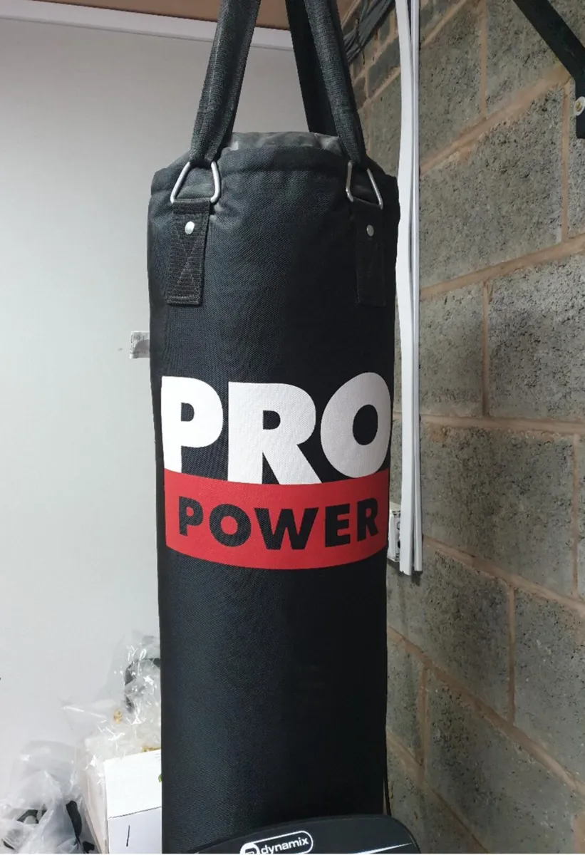 Pro Power 4FT Punching Bag - Image 1