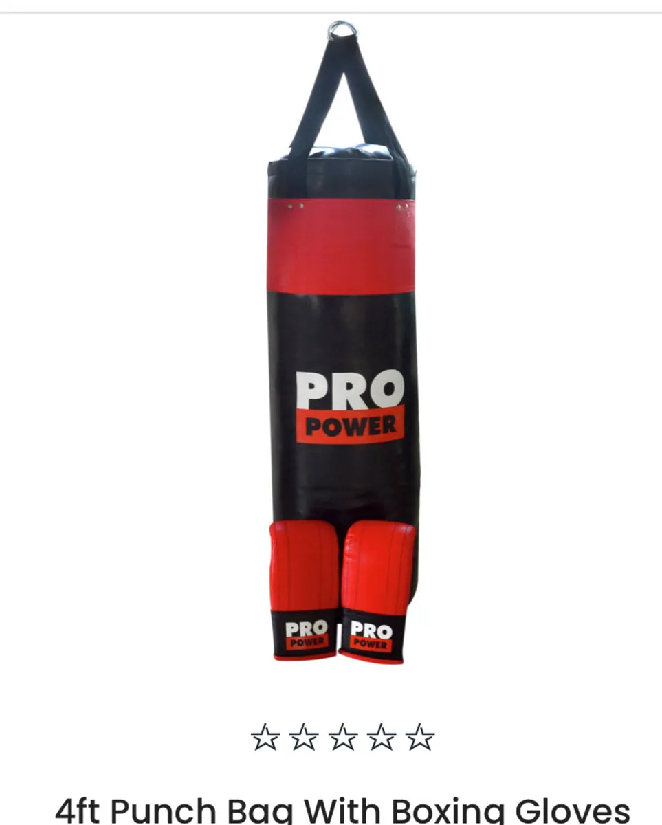 Pro Power 4FT Punching Bag - Image 2