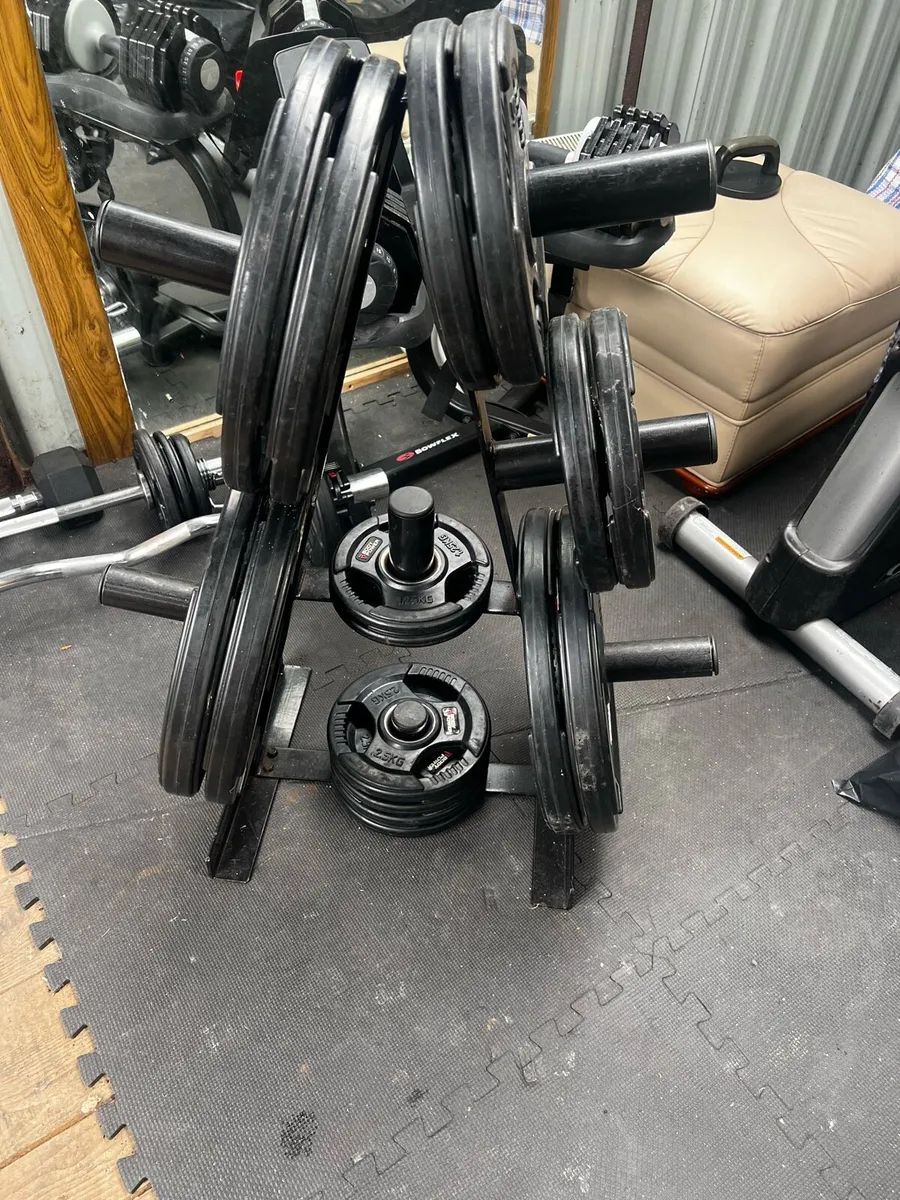 122.5KG Olympic plates - Image 3