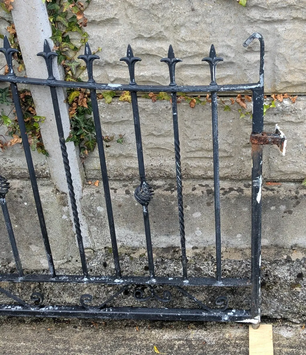 Galvanized Gates - Image 2
