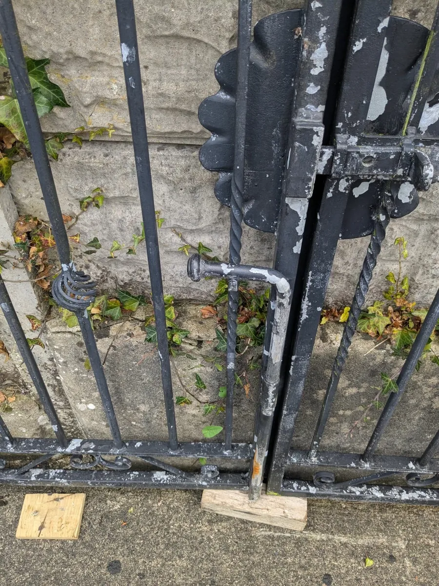 Galvanized Gates - Image 3