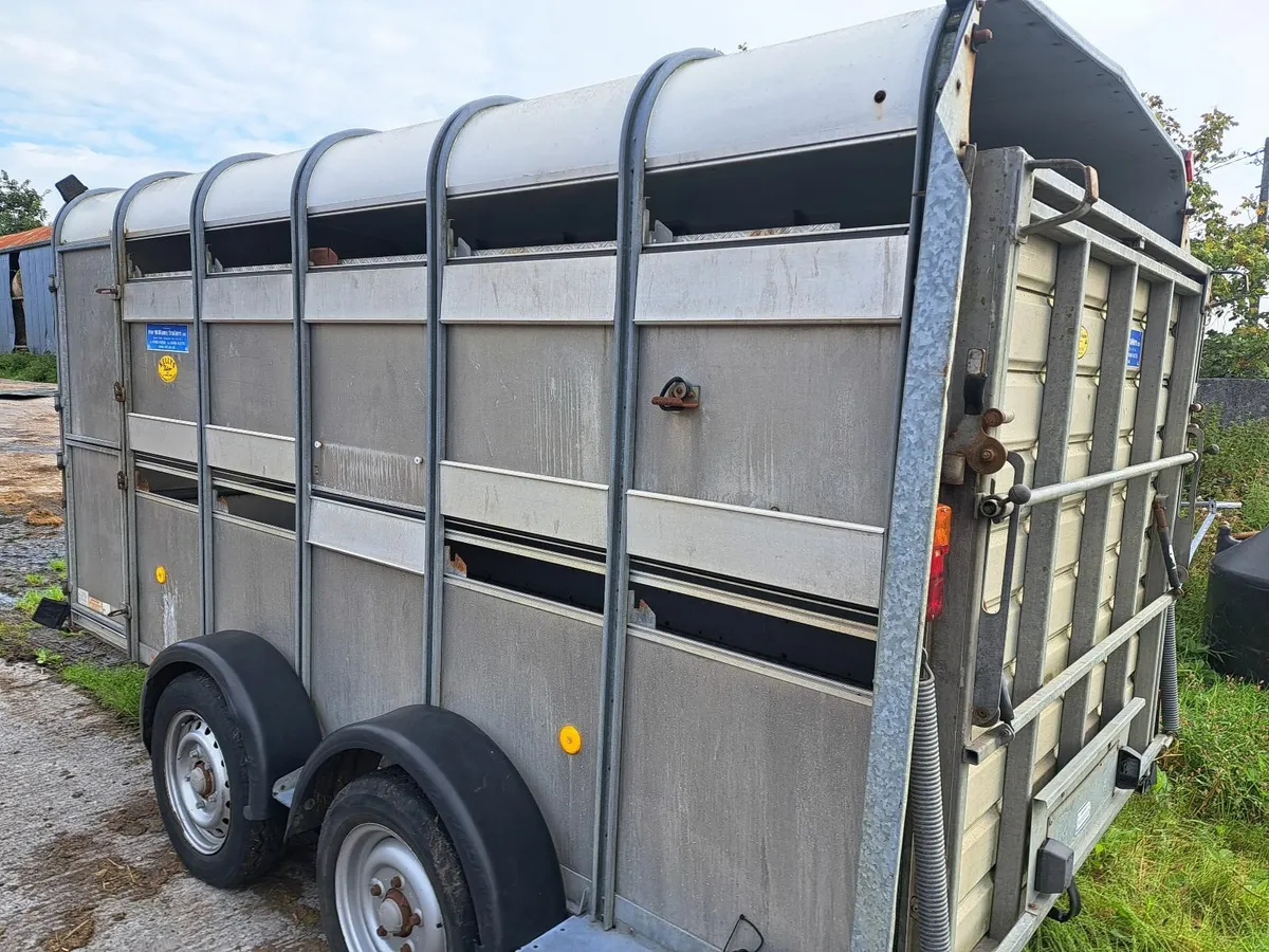 12 x 6 Ifor Williams Cattle trailer with sheep dec - Image 1