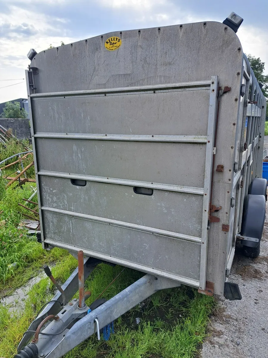 12 x 6 Ifor Williams Cattle trailer with sheep dec - Image 3